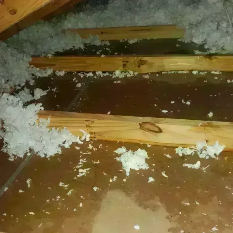 Attic Water Damage in Wilkes County, NC